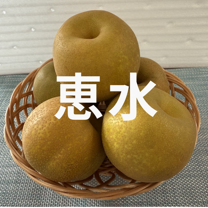 茨城県産　梨