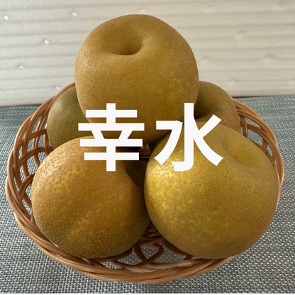 茨城県産　梨