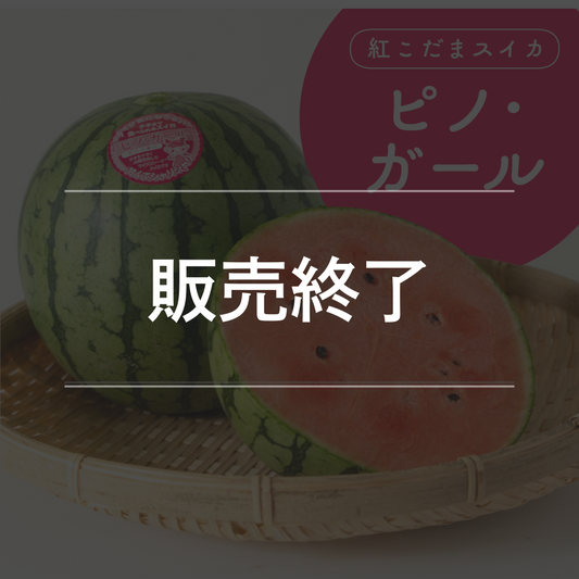 紅こだまスイカ　ピノ・ガール