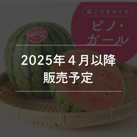 紅こだまスイカ　ピノ・ガール