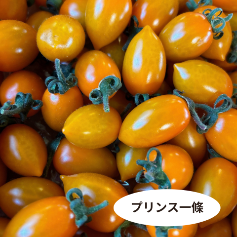 スーパーフルーツミニトマト1kg入