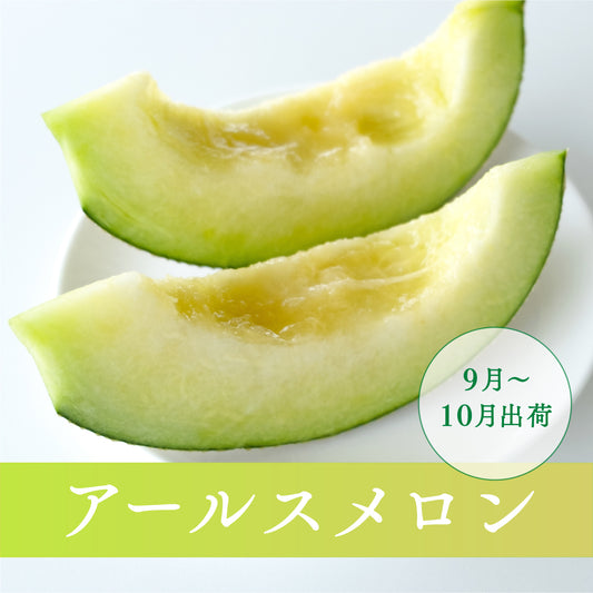 アールスメロン(９月－１０月出荷)