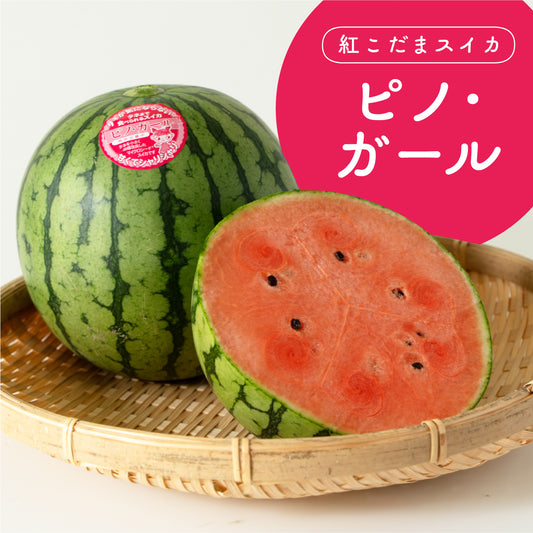 紅こだまスイカ　ピノ・ガール