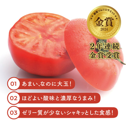 スーパーフルーツトマト（6月出荷）