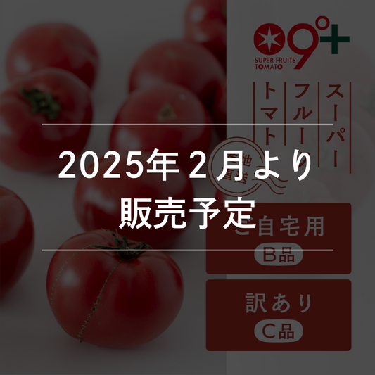 スーパーフルーツトマト ご自宅用／訳あり（2ー5月出荷）