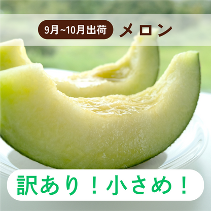 (訳あり！小さめ！）アールスメロン(９月－１０月出荷)