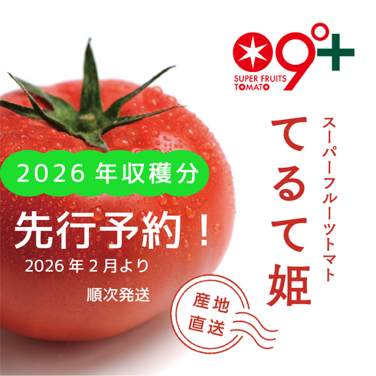 《2026年収穫分》先行予約！【てるて姫】スーパーフルーツトマト（2026年2ー3月出荷）