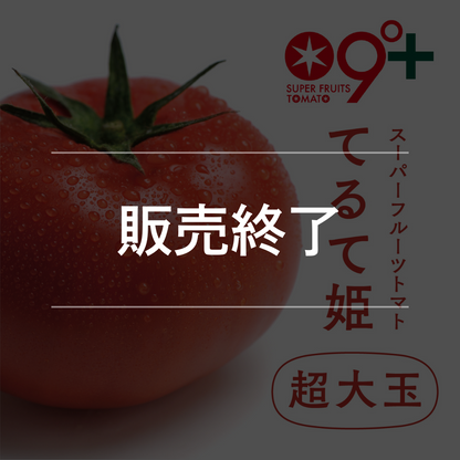 【てるて姫・超大玉】スーパーフルーツトマト（2ー5月出荷）