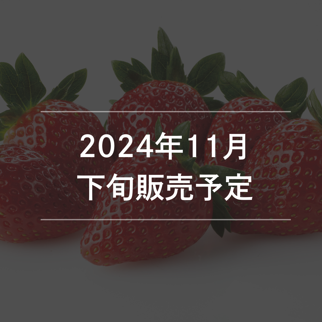 いちご　かおり野 (11月下旬～）