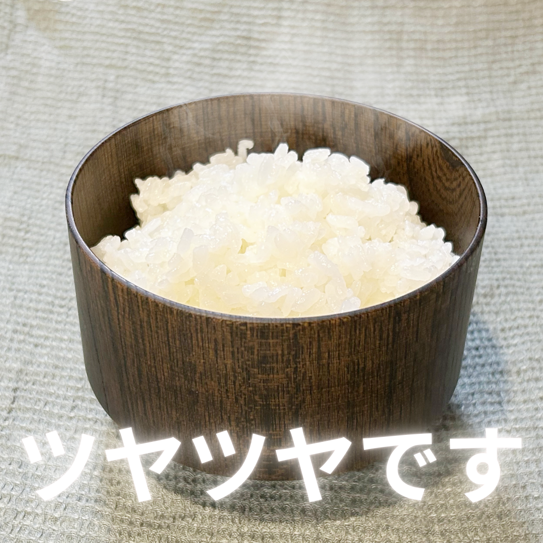 群馬県産令和6年収穫コシヒカリ白米20キロ 群馬県産令和6年収穫コシヒカリ白米20キロ