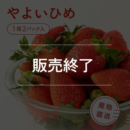 いちご　やよいひめ